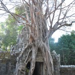 Angkor Vat - Ta Som