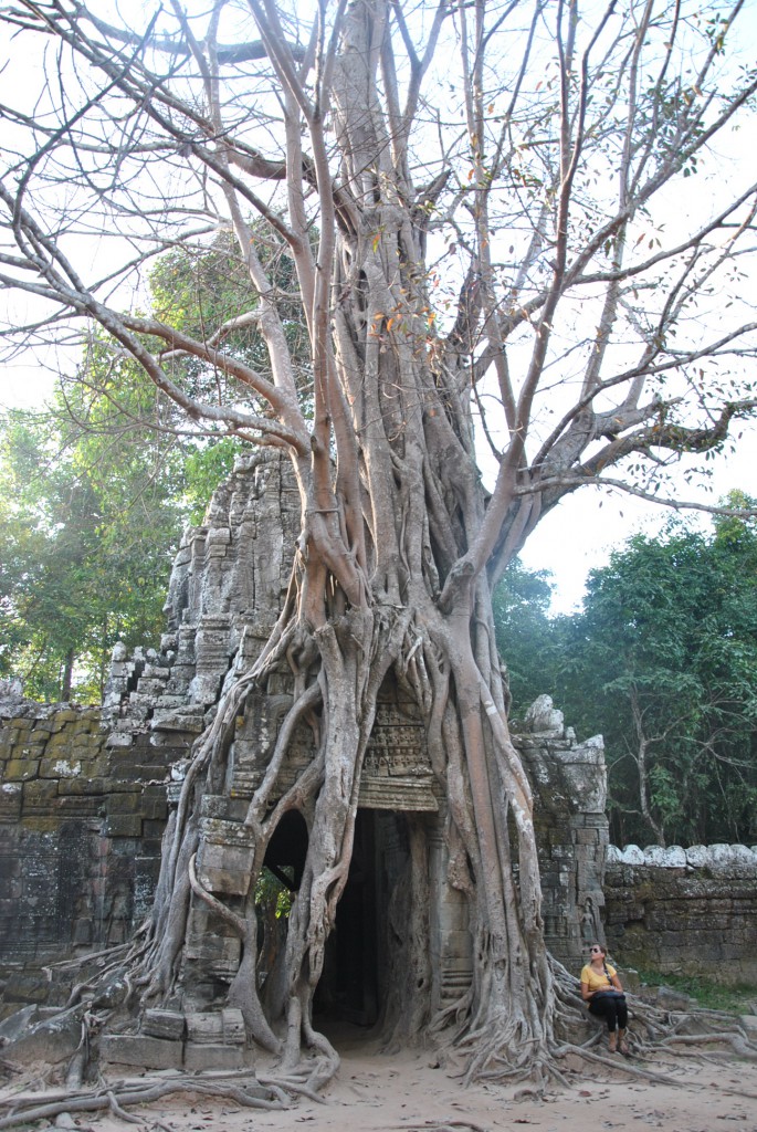 Angkor Vat - Ta Som