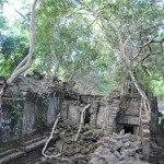 Alentour Angkor Vat - Beng Mealea